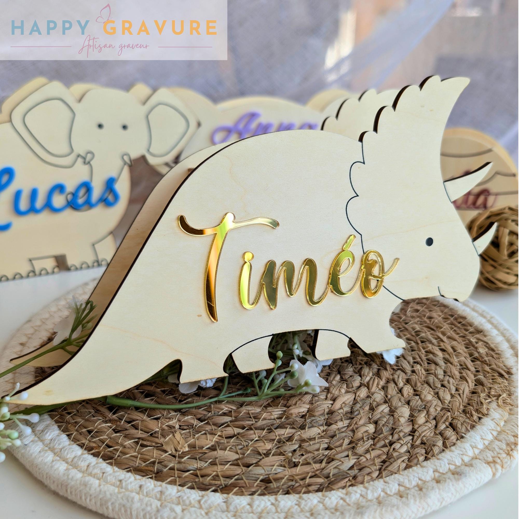 Tirelire Dinosaure Happy Gravure