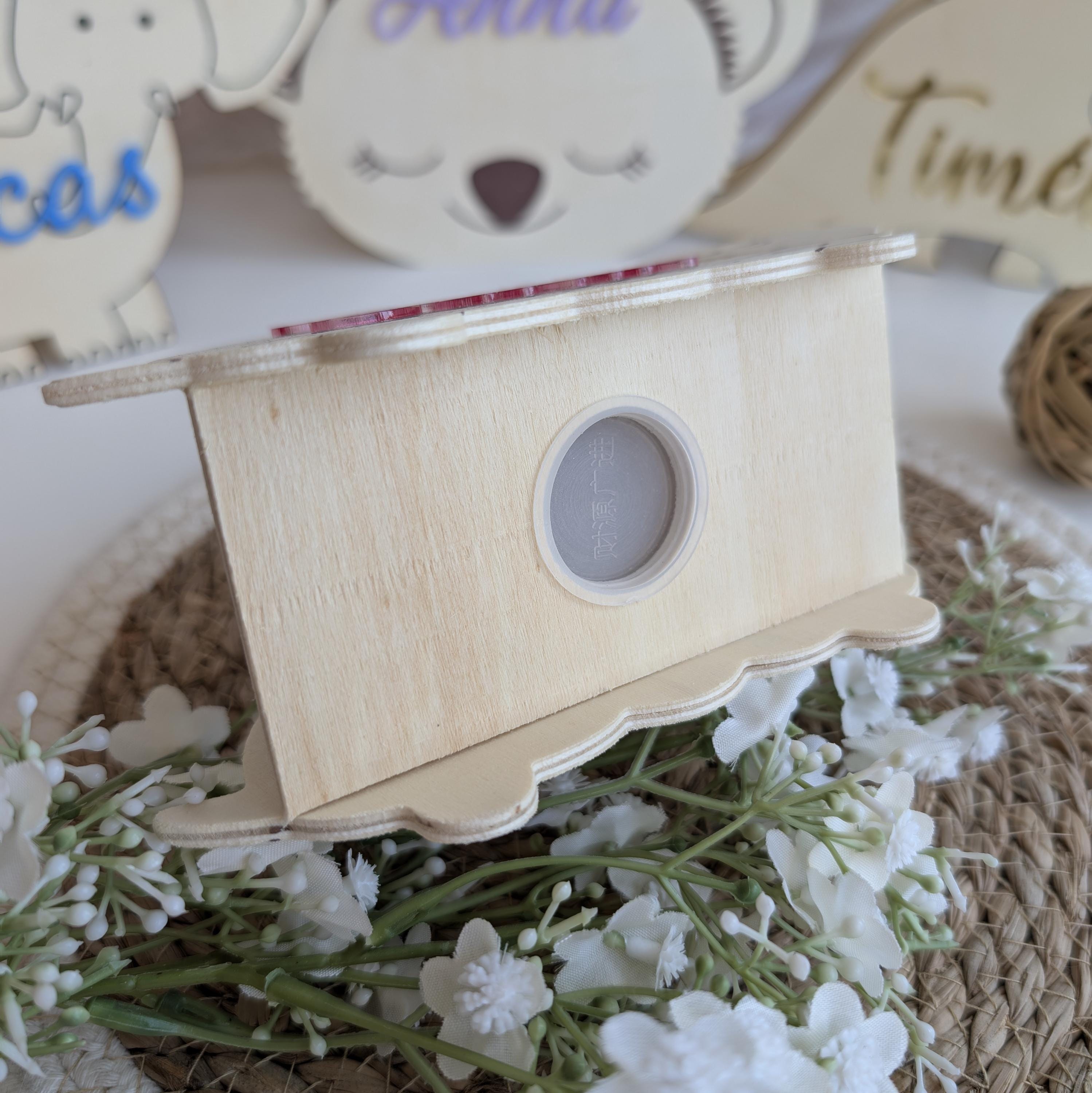 Tirelire Tortue Happy Gravure